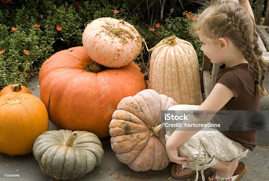 pumpkins! - Foto de stock de 2-3 años libre de derechos