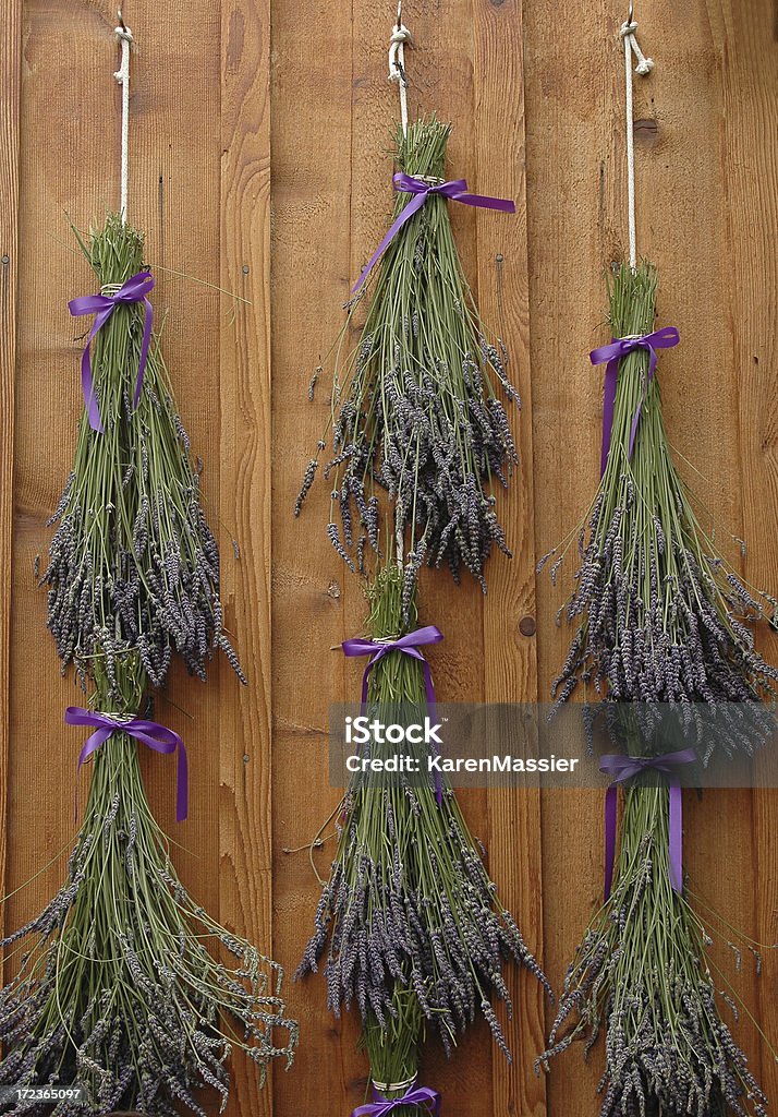 Lavanda Bunches secado - Foto de stock de Agricultura libre de derechos