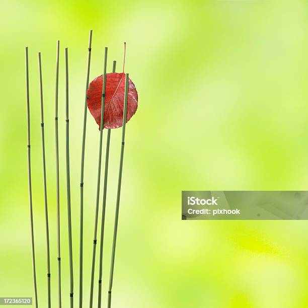 Foto de Lago Juncos E Folhas De Outono e mais fotos de stock de Assistência - Assistência, Bambu, Bem-estar