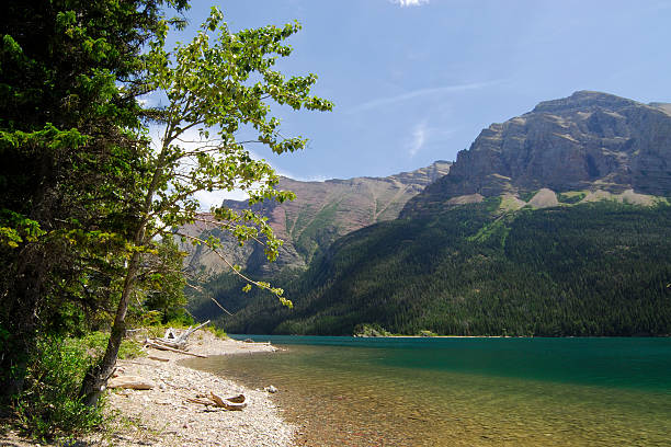 istock Lake Josephine and Beach 172365223