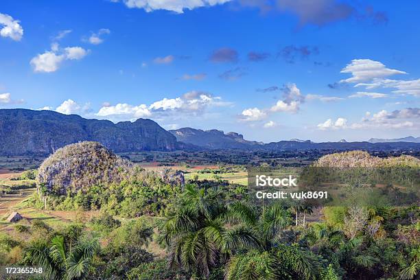 Valle De Viñales Foto de stock y más banco de imágenes de Agricultura - Agricultura, Aire libre, Ajardinado