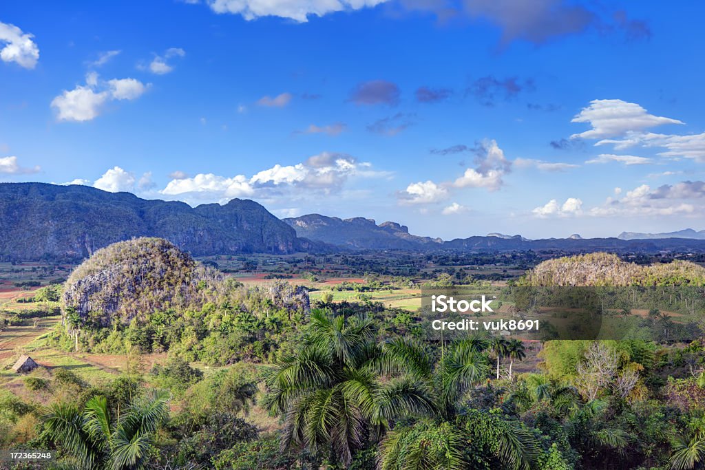 Valle de Vinales - Foto stock royalty-free di Agricoltura