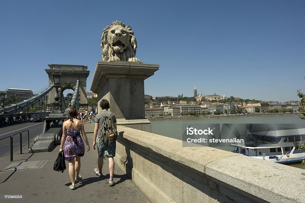 Ponte de Budapeste - Royalty-free Andar Foto de stock