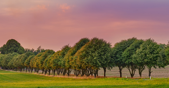 The beautiful colors of autumn - sunset in the countryside in early autumn