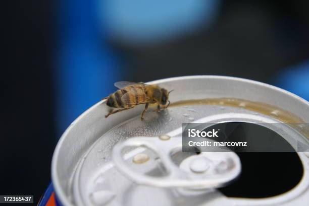 Foto de Abelha Na Cocacola e mais fotos de stock de Abelha - Abelha, Animal, Azul