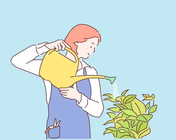 Vector illustration of Young plants watering in the garden from a watering can.