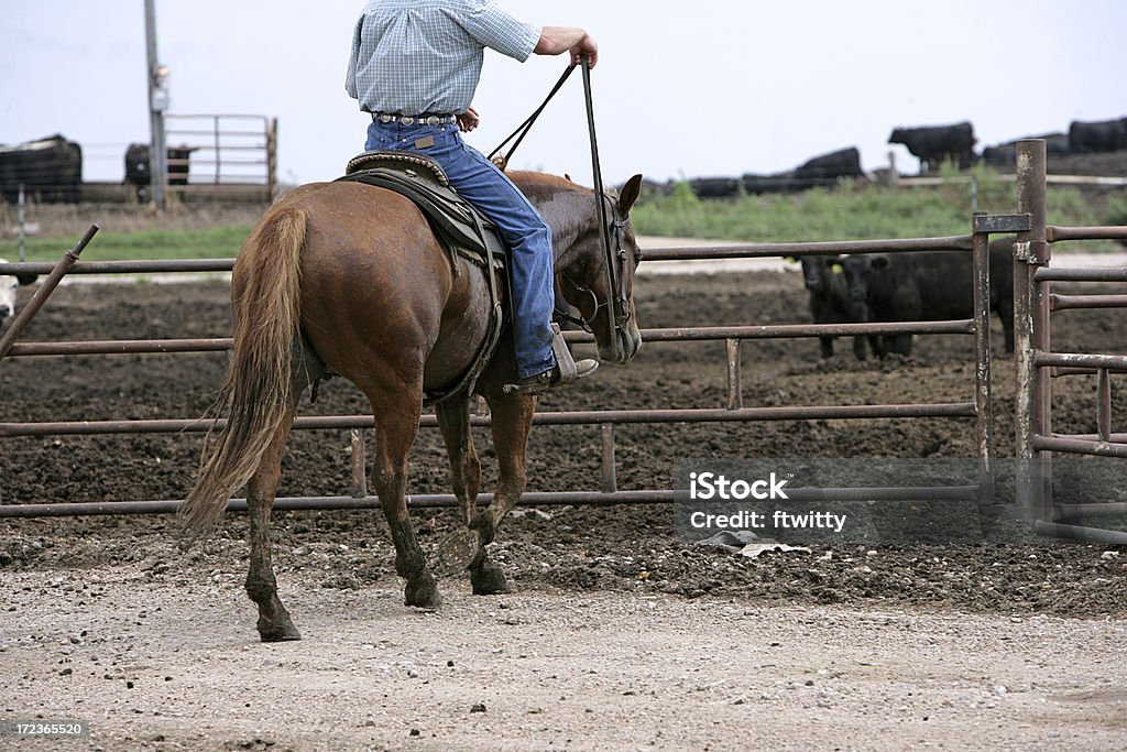 Cowboy desde atrás - Foto de stock de Adulto libre de derechos