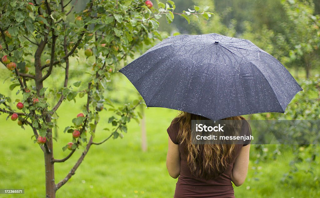Dia de chuva - Foto de stock de Abaixo royalty-free