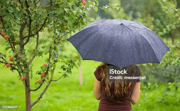 Foto de Dia De Chuva e mais fotos de stock de Abaixo - Abaixo, Chuva, Guarda-chuva
