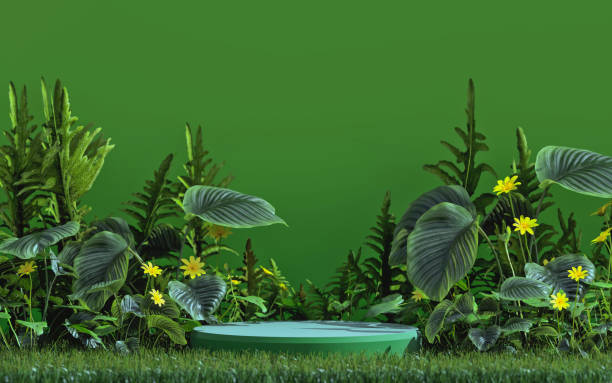 istock luxury podium 3d illustration showcase background 1723657479