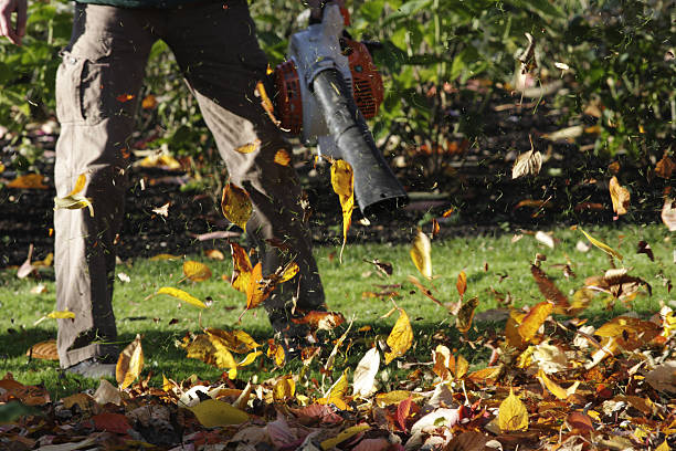 Artificial wind leaf blower blows autumn leaves stock photo