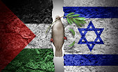 Palestine And Israel Crisis