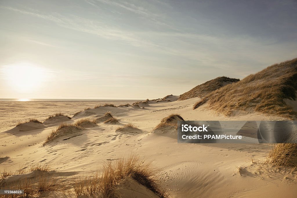 Dune paysage - Photo de Dune de sable libre de droits