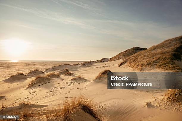 Photo libre de droit de Dune Paysage banque d'images et plus d'images libres de droit de Dune de sable - Dune de sable, Partie allemande de la Mer du Nord, Allemagne