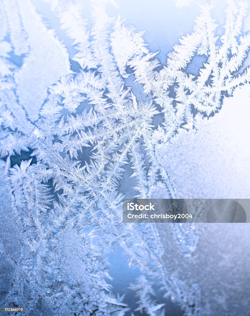 Frost - Royalty-free Congelado Foto de stock