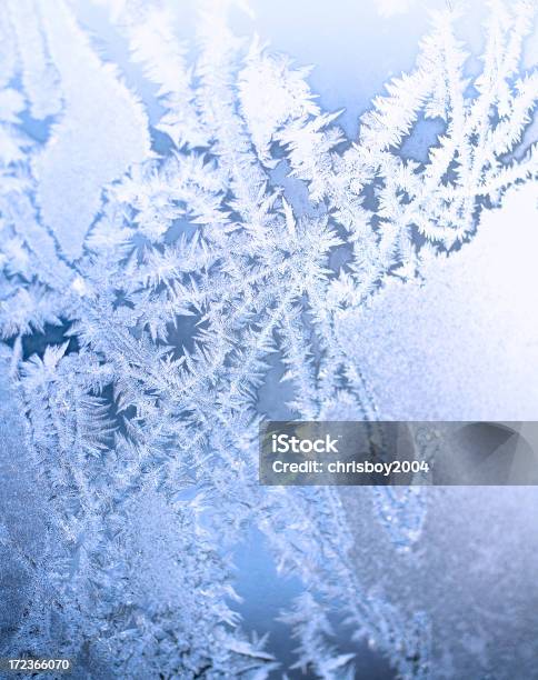 Frost - Fotografias de stock e mais imagens de Congelado - Congelado, Fotografia - Imagem, Frio