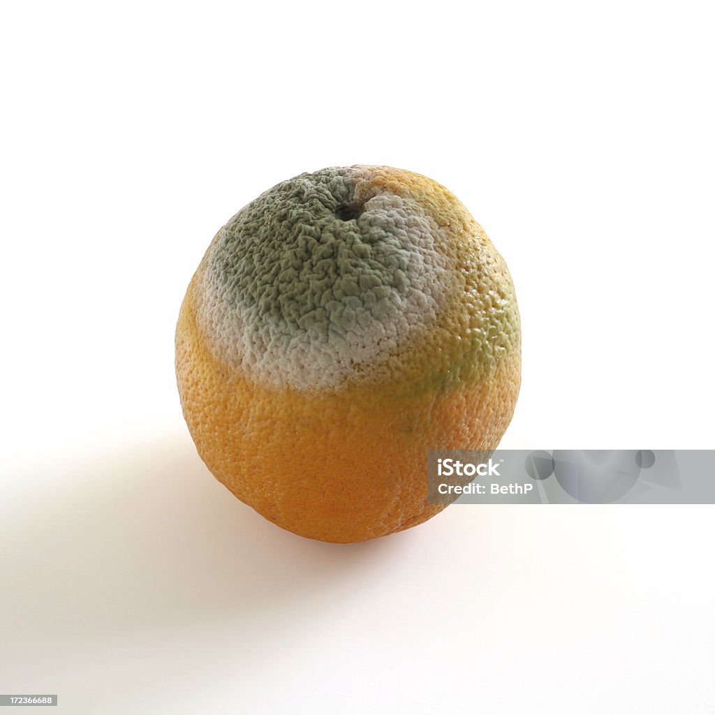 Rotten オレンジ - オレンジ色のロイヤリティフリーストックフォト