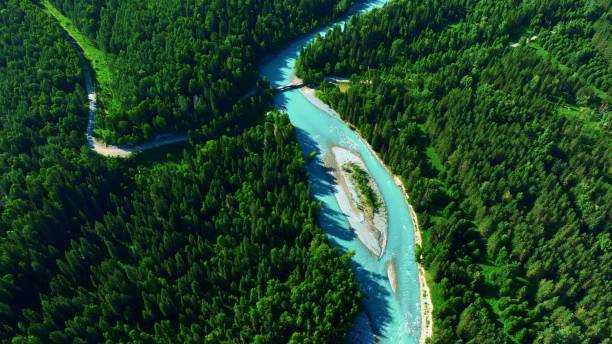 istock White Berel river surrounded with green trees 1723667658