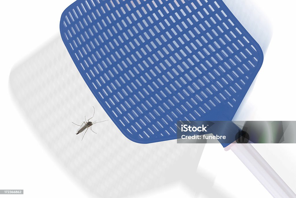 Mata-moscas & Mosquito - Royalty-free Mata-moscas Foto de stock