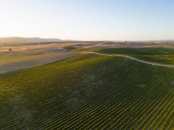 istock Paso Robles Wine Country 1723672634