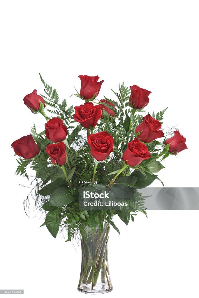 赤いバラ(XL - 植物 バラのロイヤリティフリーストックフォト