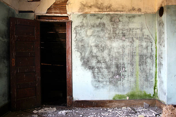 Blue and yellow crumbling water damaged plaster walls with doorway stock photo