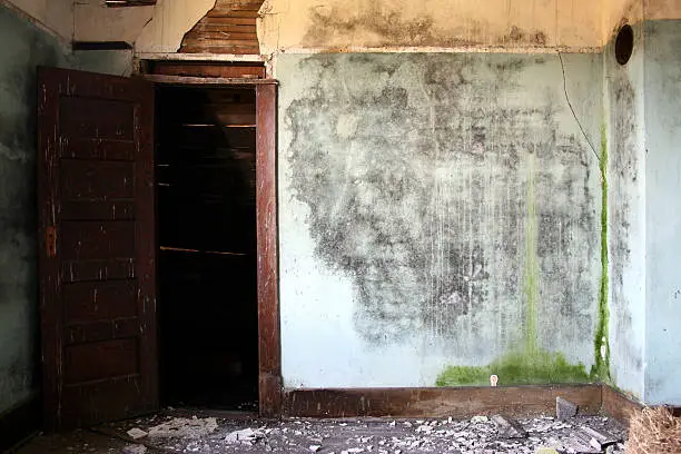 Photo of Blue and yellow crumbling water damaged plaster walls with doorway