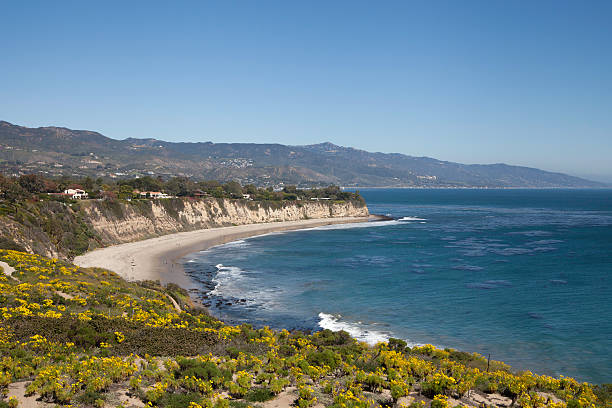 istock Malibu Coastline, California 172368107