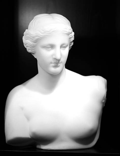 busto de la grecia antigua de mármol de venus de milo - sculpture women fine art statue marble fotografías e imágenes de stock