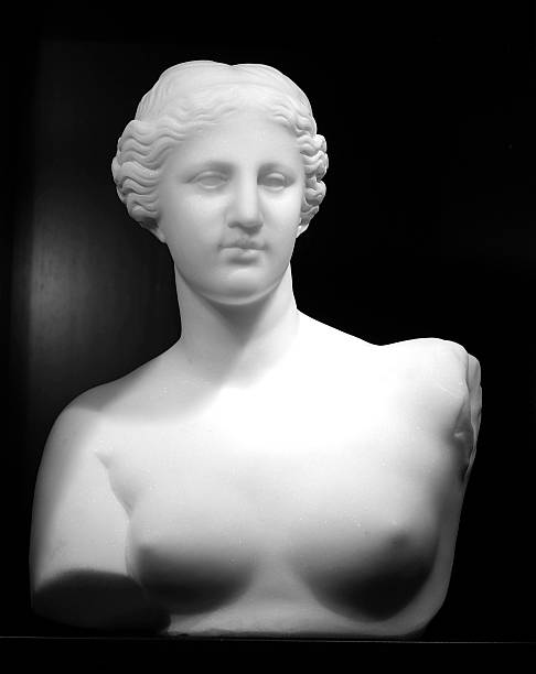 marble cópia de vênus de milo - sculpture women fine art statue marble imagens e fotografias de stock