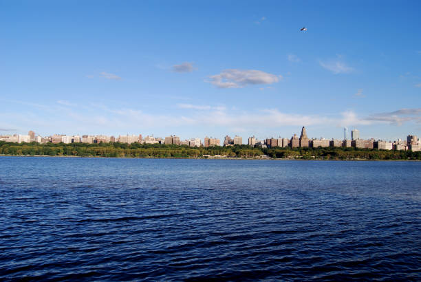 istock Panoramic View Of New York City 172368493