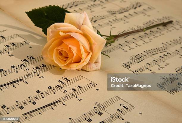 Sheet Of Classical Notes Stock Photo - Download Image Now - Music, Rose - Flower, Yellow