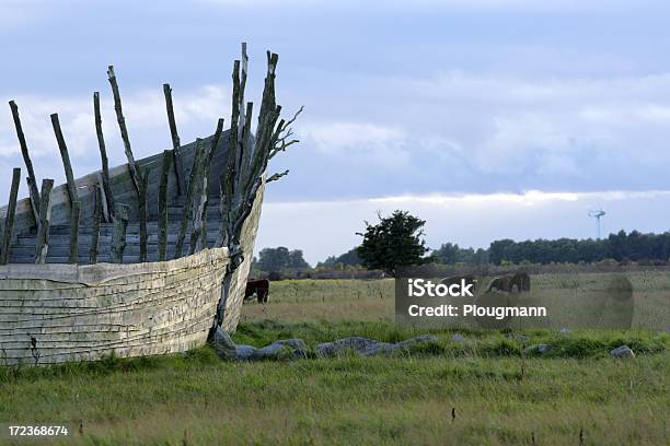 自然のプレイグラウンド - ウシのストックフォトや画像を多数ご用意 - ウシ, デンマーク, ノアの方舟