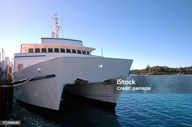 Barco De Passageiros - Fotografias de stock e mais imagens de Barco de Turismo - Barco de Turismo, Queensland, Vela - Desporto Aquático