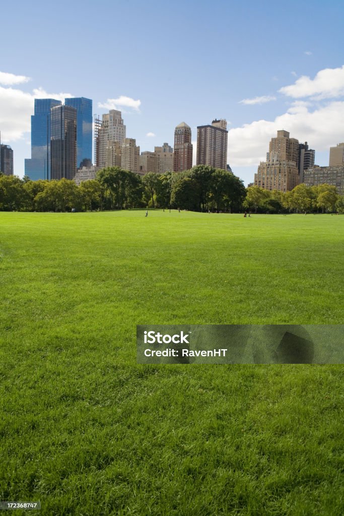 Pecore Prato - Foto stock royalty-free di Central Park - Manhattan