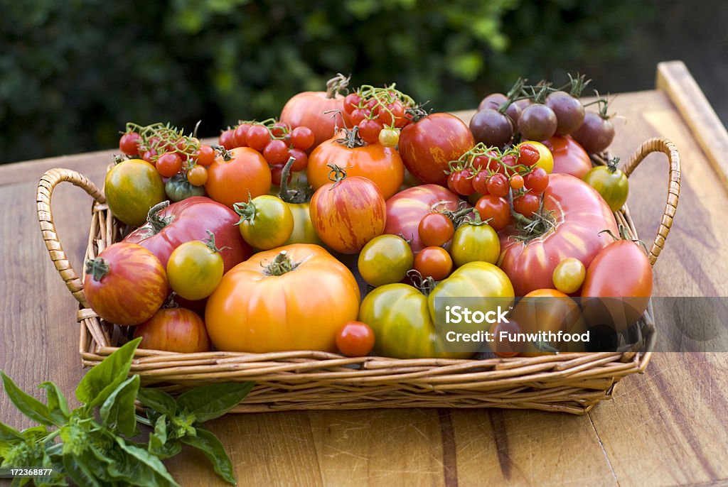 Alfresco Cesta de produção local tomates Heirloom! - Foto de stock de Abundância royalty-free
