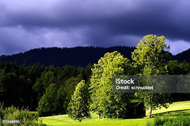 Landschaft Vor Einem Gewitter Stockfoto und mehr Bilder von Vor - Vor, Aussicht genießen, Baum