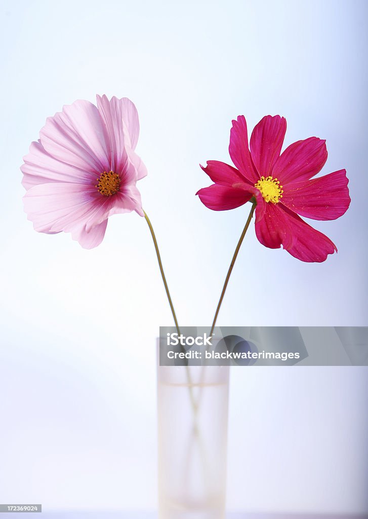 fiori - Foto stock royalty-free di Composizione verticale
