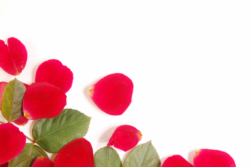 Rose petal and leaves borderPlease see Valentine's related images in my lightbox: