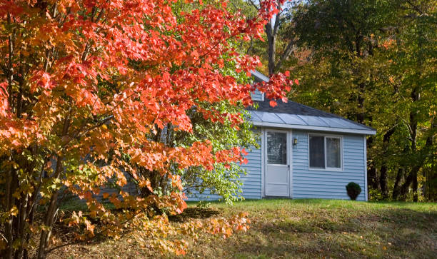istock Blue cottage in the woods 172369351