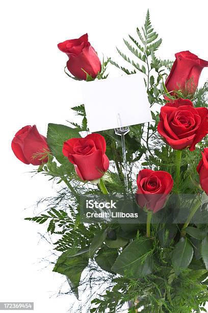빨간 장미 Xl 0명에 대한 스톡 사진 및 기타 이미지 - 0명, 12, 꽃잎