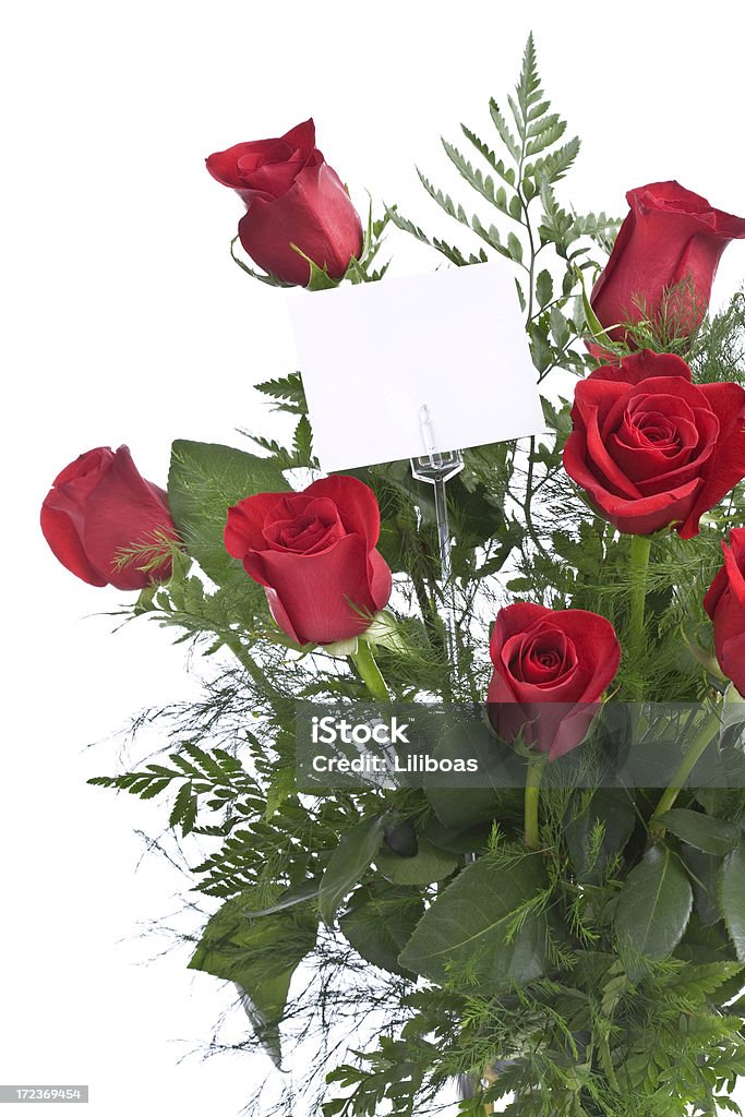 Rosas vermelhas (XL - Foto de stock de Amor royalty-free