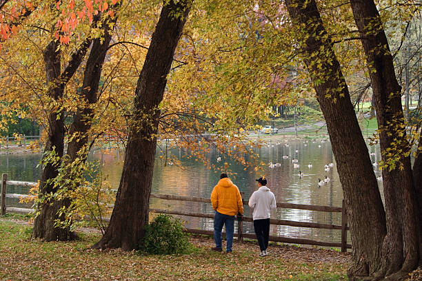 istock Couple walking in the autumn park 172369760