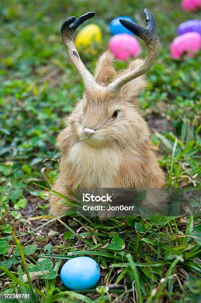 イースターバニー Jackelope の芝生にカラフルな卵 - ジャッカロープのストックフォトや画像を多数ご用意 - ジャッカロープ, イースター, イースターエッグ