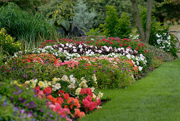 istock Colorful Garden in Autumn 172369863