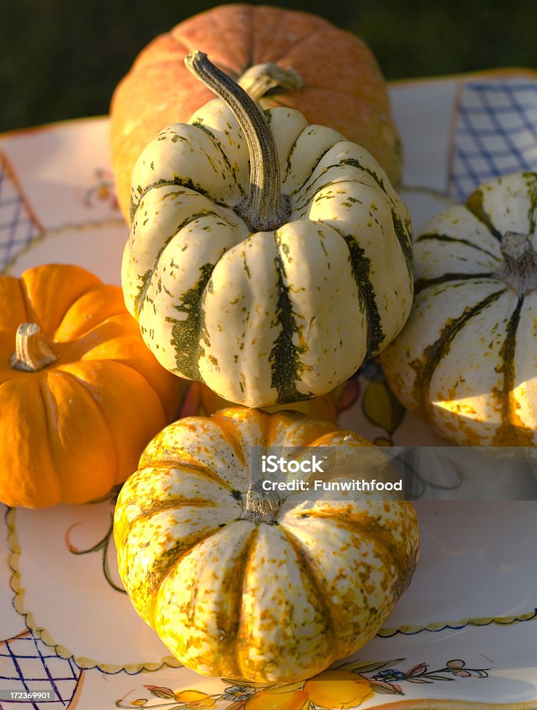 Herbst Kürbis & Gourds - Lizenzfrei Abenddämmerung Stock-Foto