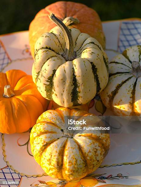 Осенний Pumpkins Gourds — стоковые фотографии и другие картинки Без людей - Без людей, Белый, Бутылочная тыква