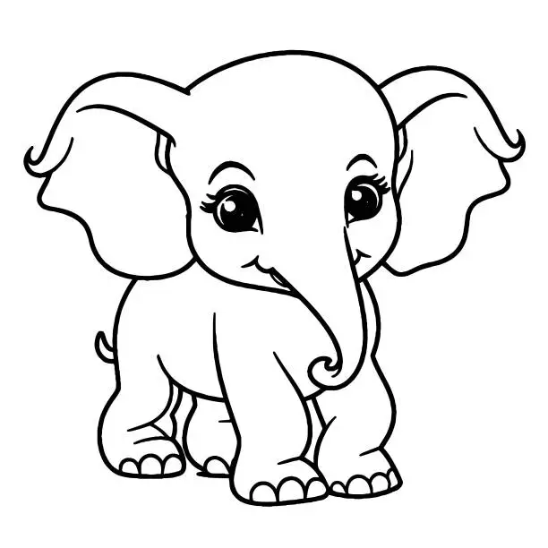 Vector illustration of elephant black and white vector illustration for coloring book