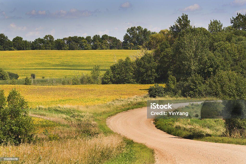 Rural Farm Road Subject: A rural gravel road in the farm country Agricultural Field Stock Photo