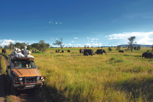 Safari goers watching elephants on the Serengeti Plain in Tanzania